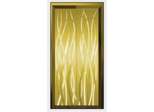 Hunan Elevator door - Elevator hall door L604